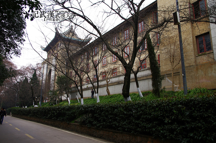武汉大学"的评论图片