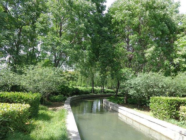 隋唐城遗址植物园