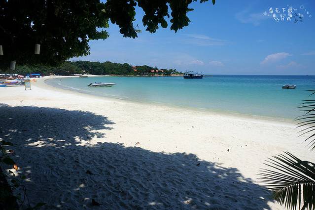 泰无下限小分队--泰国十一日游