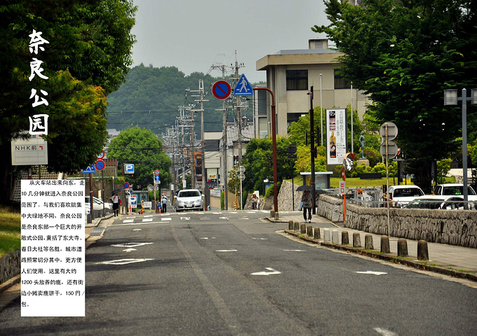 感受关西风光 北海道九日行 京都旅游攻略 游记 去哪儿攻略