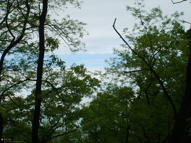 药乡国家森林公园