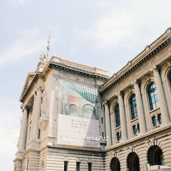大连海洋博物馆门票图片