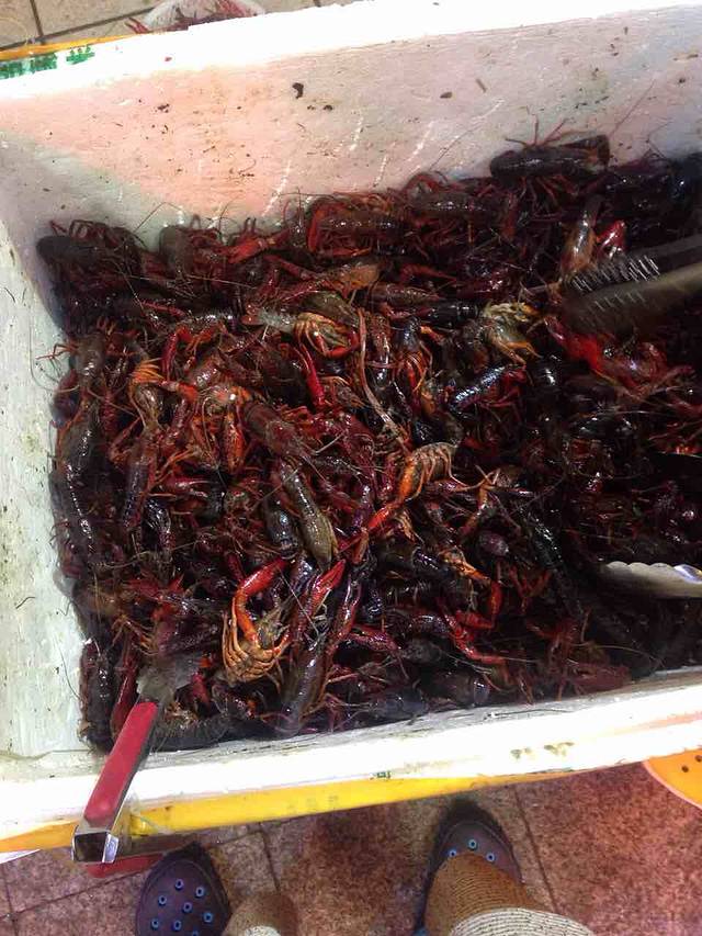 深圳市福田农产品批发市场有限公司