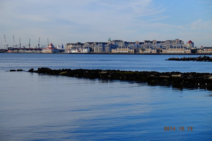 船上的风景.这是ellis island,我没下船参观,在最上面晒太阳了.