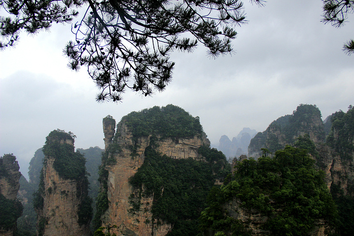 2017一步登天是属于张家界森林公园杨家界景