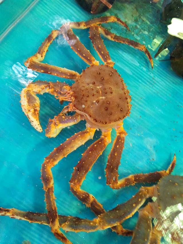 十九涌海鲜市场