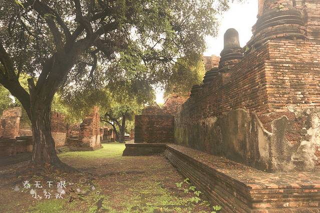 泰无下限小分队--泰国十一日游