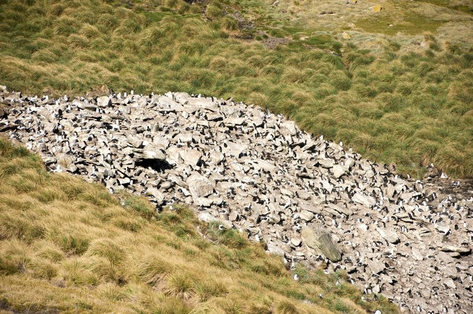 West Point岛图片 West Point岛图片