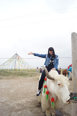 倒淌河有个美丽的传说,文成公主进藏和亲走到