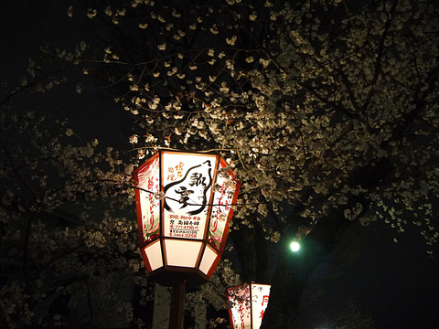 京都弥荣会馆日本传统艺能鉴赏