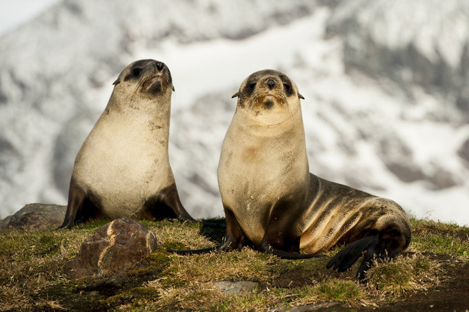 圣安德鲁斯海湾图片 圣安德鲁斯海湾图片
