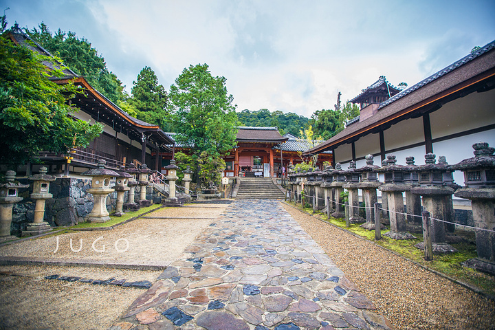 21春日大社 Kasuga Taisha 沿着春日山山势而建 社境内有许多不同的小神社 其中须付费 春日大社 评论 去哪儿攻略