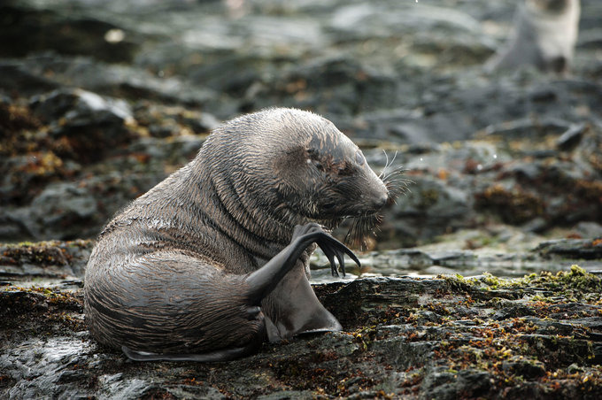 Cooper Bay图片 Cooper Bay图片