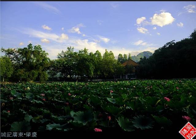 封开国家地质公园