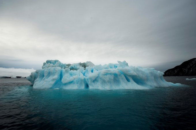 Paulet Island图片 Paulet Island图片