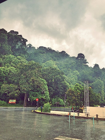 "但是一路的景色相当不错，俯瞰密林瀑布和大海，又因为是阴雨天，云山雾罩中很有如入仙境的感觉_兰卡威天空之桥"的评论图片