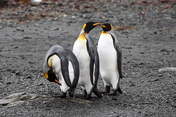 Cooper Bay图片 Cooper Bay图片