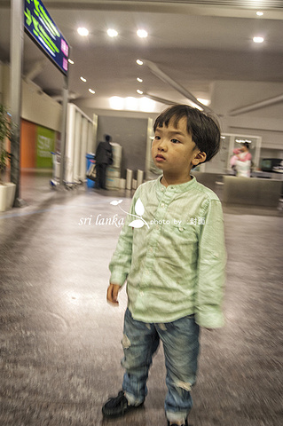 2016亚航飞科伦坡随说机票便宜不过最麻烦._