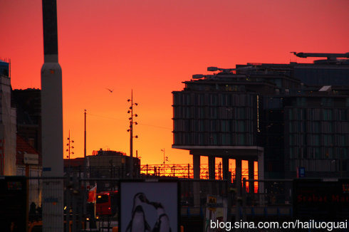 爱士曼鲜花拍卖市场