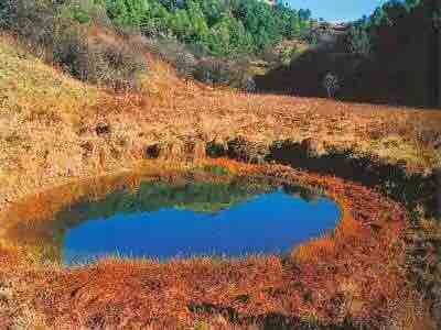 巴山湫池旅游区