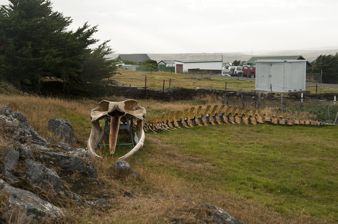 斯坦利港图片 斯坦利港图片