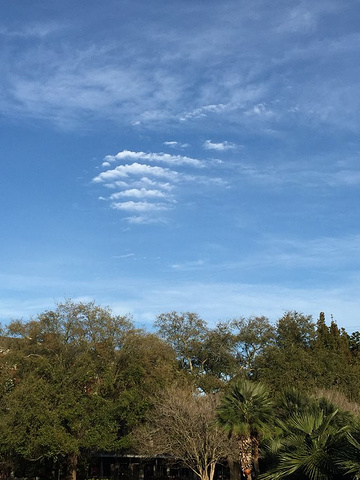 21接下来去了非常有名的french Quarter 车就停在了主街旁的大型室外停车场内 新奥尔良法语区 评论 去哪儿攻略