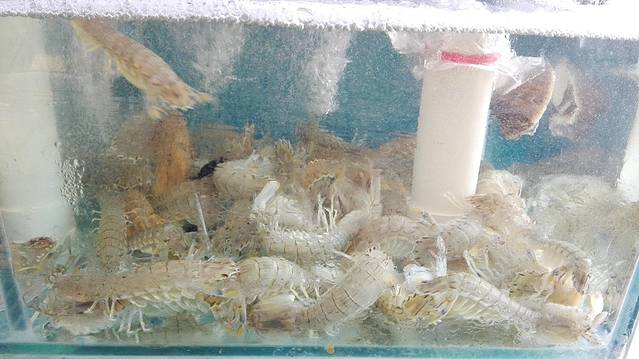 三乐海鲜水饺馆