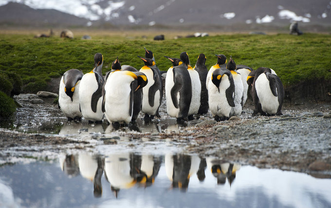 Salisbury Plain图片 Salisbury Plain图片