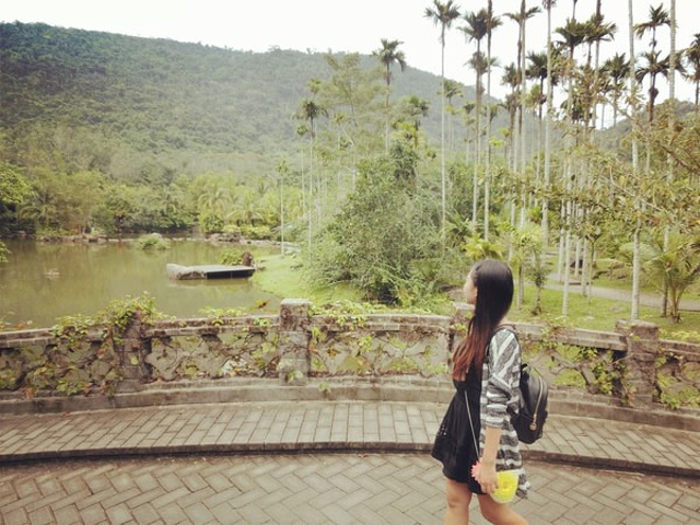 2017倒是那个飞瀑索道还值得一玩_呀诺达雨林