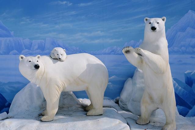 札幌市圆山动物园