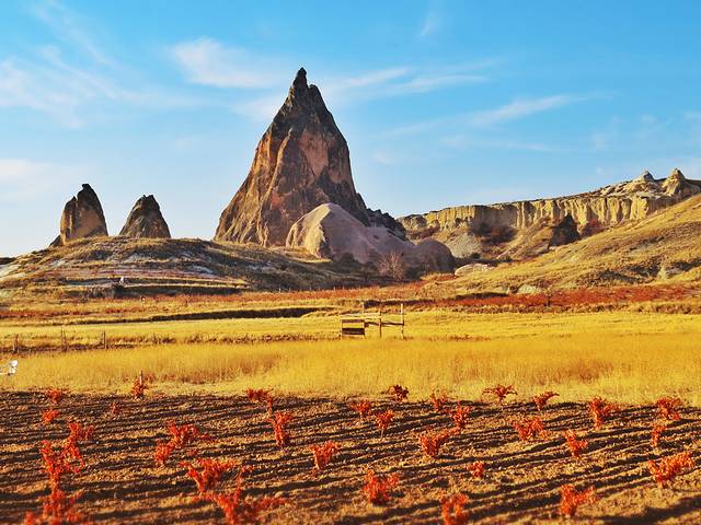 这是一片美丽的土地.