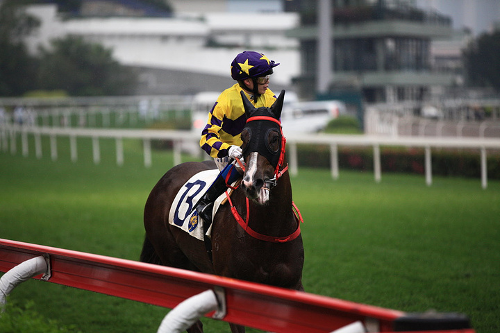 2017跑马地一般每周三晚上举行赛赛_沙田马场