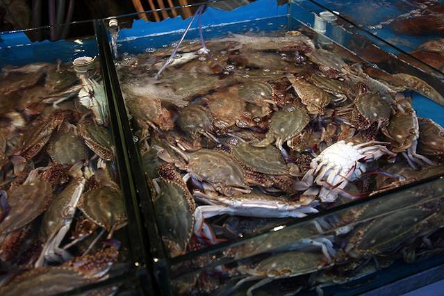 南山农副产品批发超市