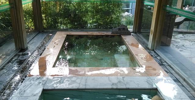 凤山温泉度假村