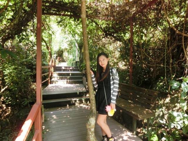 2017倒是那个飞瀑索道还值得一玩_呀诺达雨林