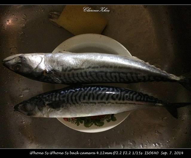 17天俄罗斯深度游