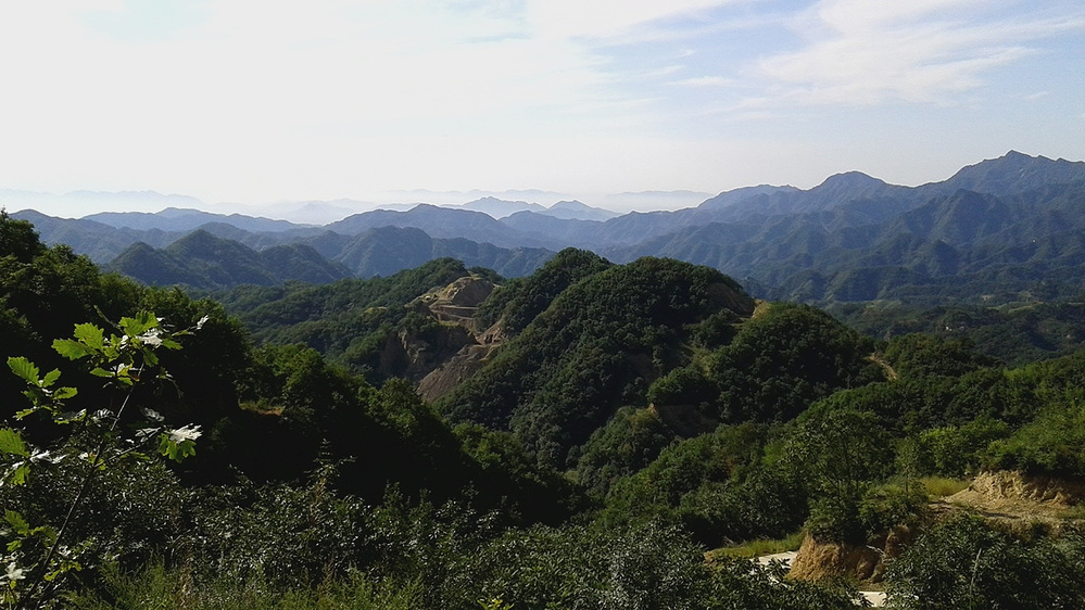 静心之旅花市村五日游（适合老年人）