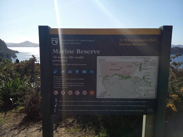 科罗曼德尔半岛