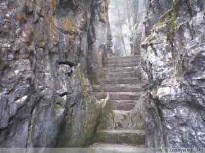 金佛山生态石林