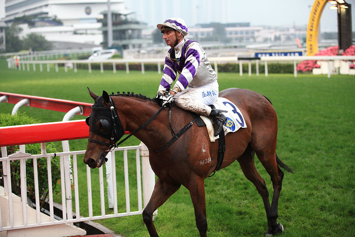 2017跑马地一般每周三晚上举行赛赛_沙田马场