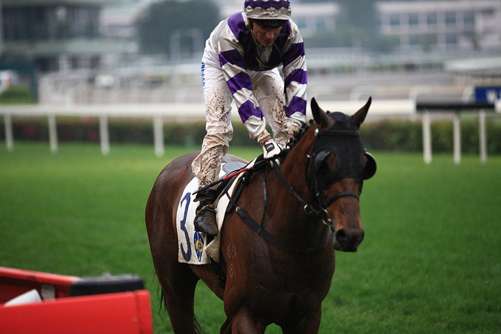 2017跑马地一般每周三晚上举行赛赛_沙田马场