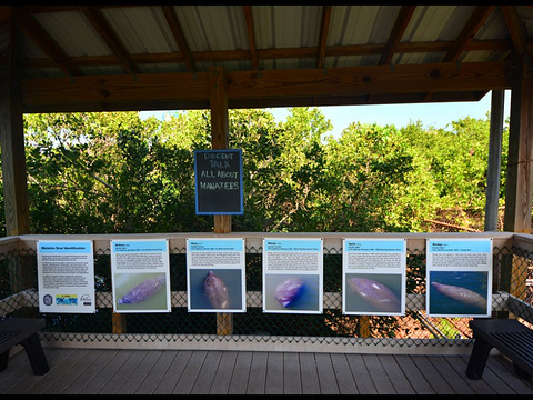 海牛观赏保护中心旅游景点图片