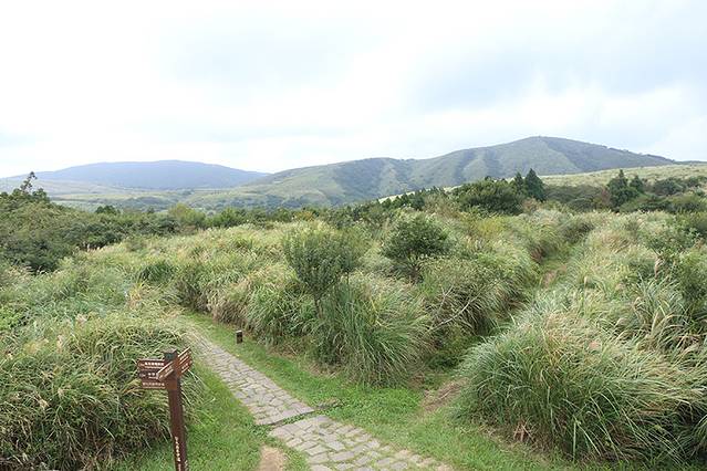 阳明山牛奶湖