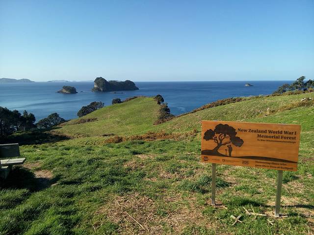 科罗曼德尔半岛