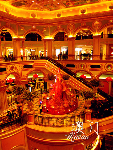 2017按照原定计划乘坐威尼斯人的免费大巴,到