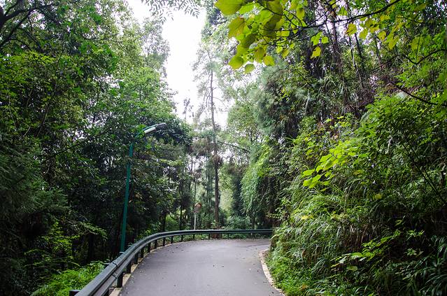 歌乐山国家森林公园