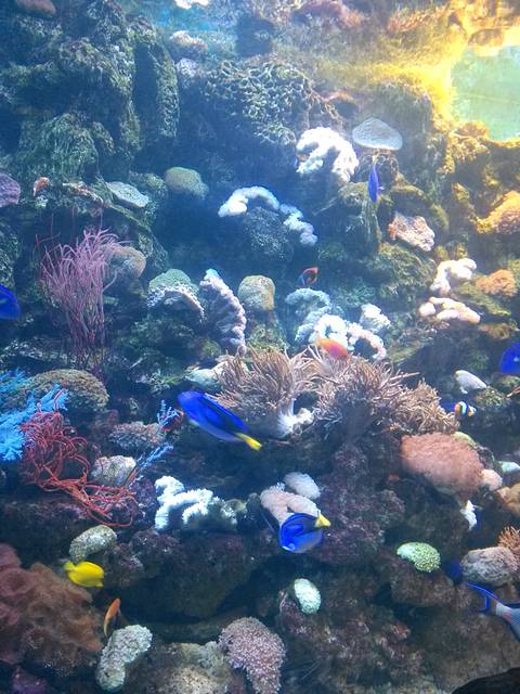 十一大连游,逛逛 吃吃