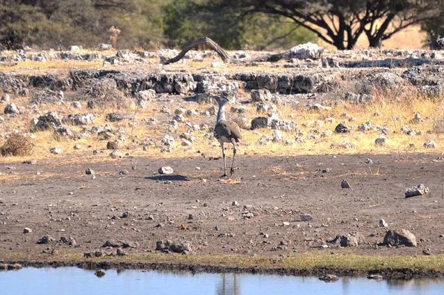 纳米比亚南非超细十六天家庭游上部