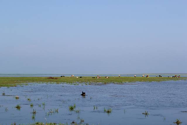 阿尔山世界地质公园-七仙湖草原