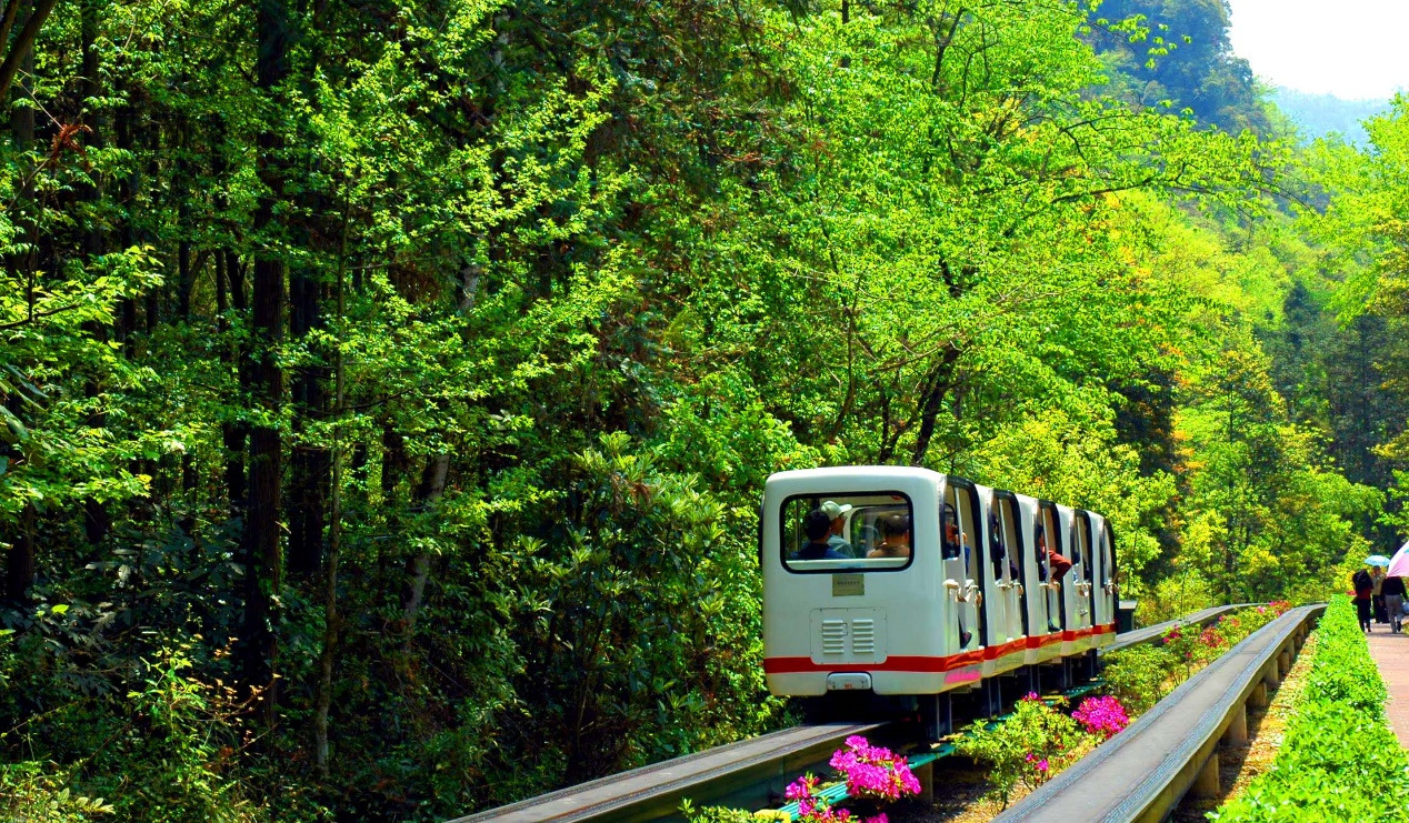 张家界国家森林公园